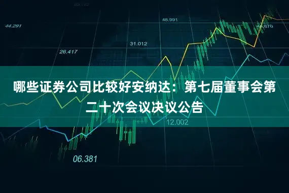 哪些证券公司比较好安纳达：第七届董事会第二十次会议决议公告