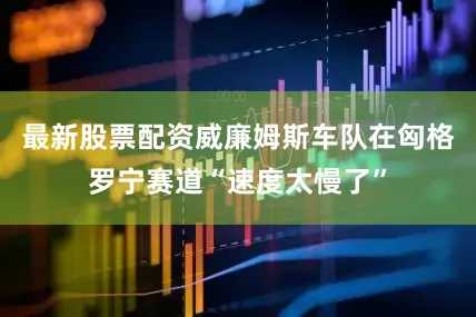 最新股票配资威廉姆斯车队在匈格罗宁赛道“速度太慢了”