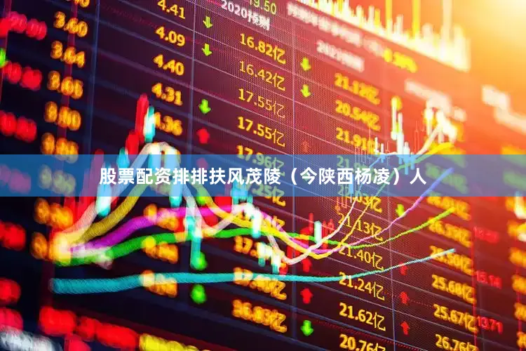 股票配资排排扶风茂陵（今陕西杨凌）人